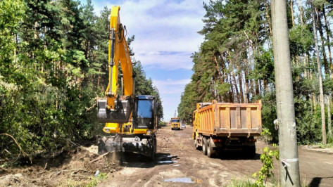 Экологи проверили строительство дороги возле Северного леса в Воронеже