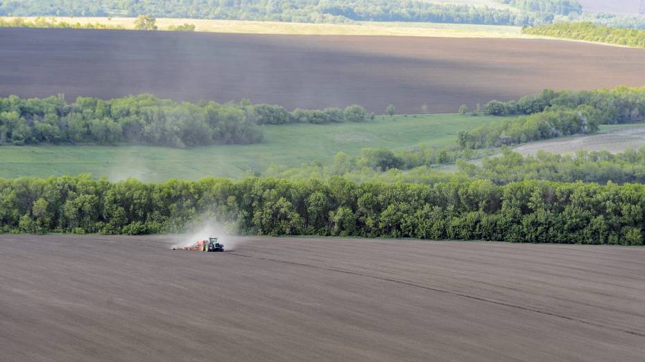 Воронежская область может получить дополнительные субсидии по льготным кредитам на развитие сельского хозяйства