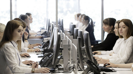 Работают на федералов и иностранцев. В Воронежской области всплыл недостаток IT-кадров