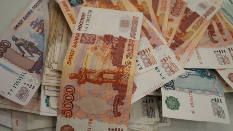 Cредняя зарплата в Воронежской области составила 27,3 тыс рублей