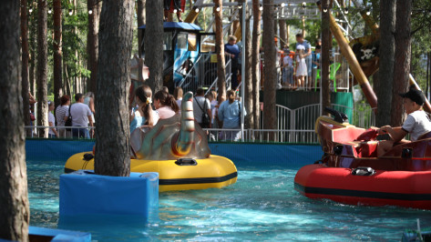 Воронежцев обеспокоило «заточение» сосен в аттракционе с бассейном в парке «Танаис»