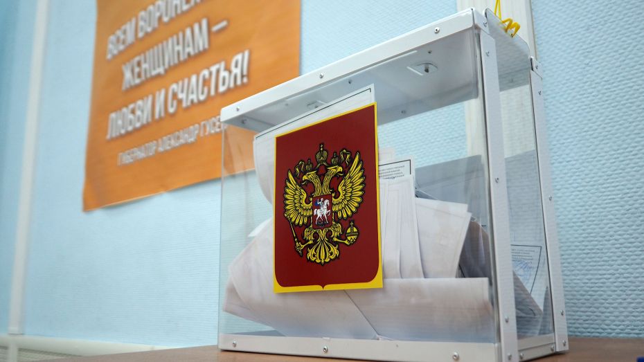 В 2 районах Воронежской области избрали новых депутатов