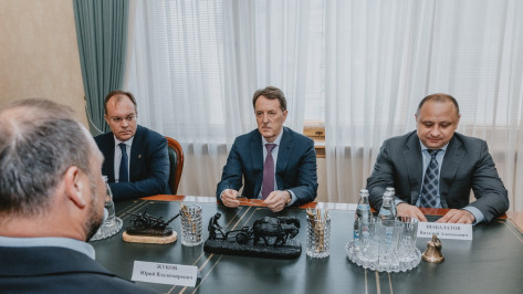 Участие бизнеса в воронежских соцпроектах обсудили на встрече с вице-спикером Госдумы