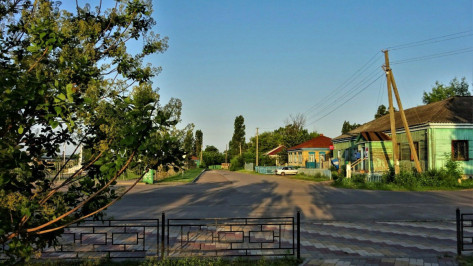 Огород на Красной площади. Чем живет воронежская улица, названная в честь символа России