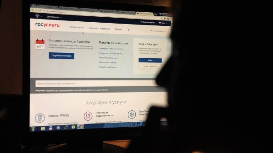 Воронежская область заняла 3 место в ЦФО по популярности электронных госуслуг