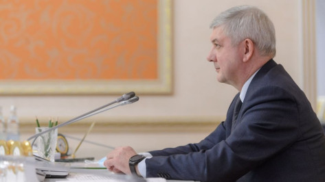 Губернатор Александр Гусев обратился с теплыми словами к воронежцам старшего поколения