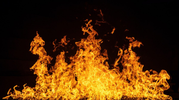 Пожар уничтожил 40 тонн сена в воронежском совхозе