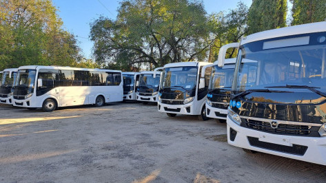 В Воронеже маршрут №18 начнут обслуживать автобусы с большей вместимостью