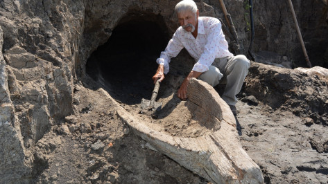 В Богучарском районе нашли древнюю лодку-долбленку