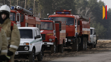 В 13 районах Воронежской области установлен IV класс пожароопасности