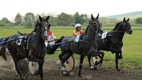 В Каширском районе состоялся первый конно-спортивный праздник