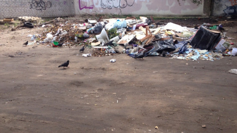 Несанкционированная свалка в Воронеже возмутила горожан