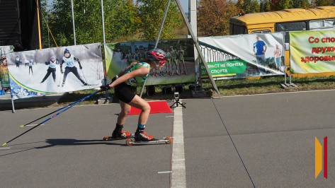 Лыжероллерную трассу в Павловске Воронежской области построит местная фирма