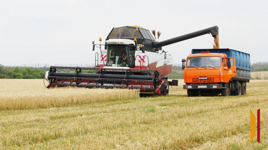 Более 23 тыс воронежцев получают повышенную пенсию за работу в сельском хозяйстве