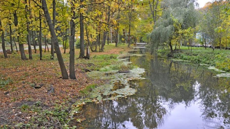 В 2013 году в Воронежской области реконструируют 24 парка и сквера