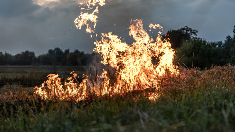 Опасность пожаров выросла на юге Воронежской области