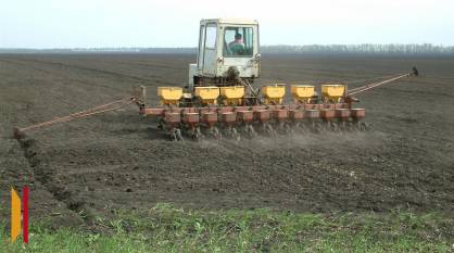Поле в полис: защитит ли страховка воронежских аграриев от климатических «сюрпризов»