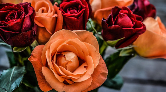 Отказ от цветов и вина обернулся для сотрудницы экспертного бюро в Воронеже потерей 1 млн рублей