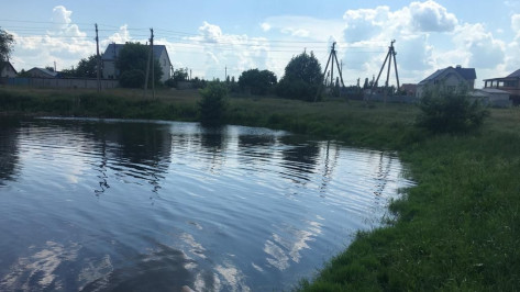 Мужчина утонул в пруду в микрорайоне Никольское в Воронеже