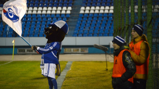 «Болельщиков просто довели». Почему снизилась посещаемость матчей воронежского «Факела»