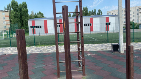 Угроза жизни детей: воронежский суд обязал администрацию Борисоглебска отремонтировать детские площадки