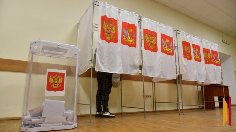 Стало известно, сколько избирателей зарегистрировано в Воронежской области
