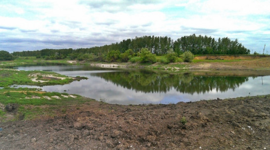 Пруды в Воронежской области поставят на кадастровый учет