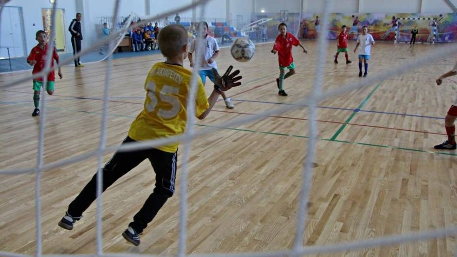 В Эртиле пройдет межрегиональный турнир по мини-футболу