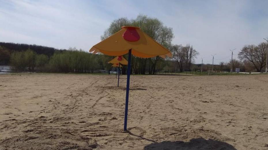 В Павловске на благоустройство городского пляжа потратили 550 тыс рублей