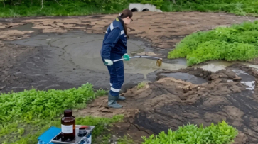 В Воронежской области агрокомпания нанесла ущерб почвам на 2 млн рублей