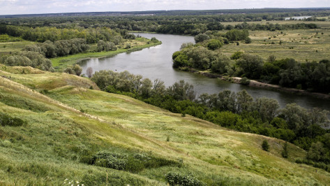 Состояние берегов реки Дон в районе Павловска проверят до 1 декабря 2019 года 
