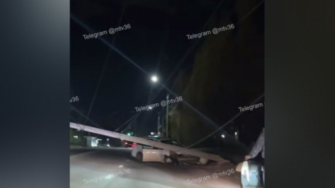 В Воронеже на машину рухнул столб