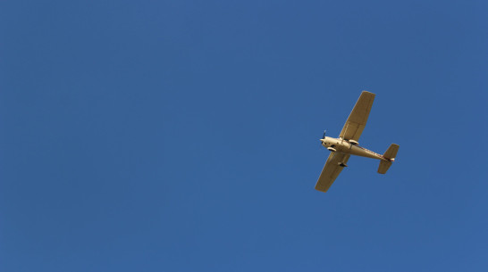 Еще один беспилотник сбили в Воронежской области 25 июня