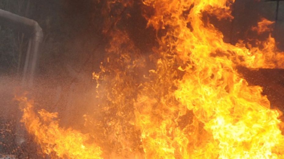 В Новоусманском районе произошел пожар, жертвой которого чуть не стали трое детей