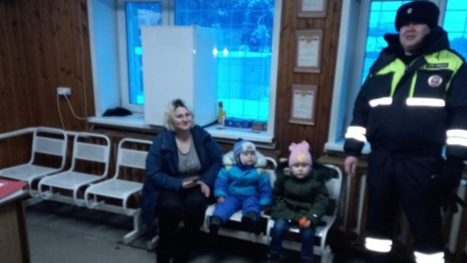 В Воронежской области полицейские спасли замерзающую на трассе женщину с 2 детьми