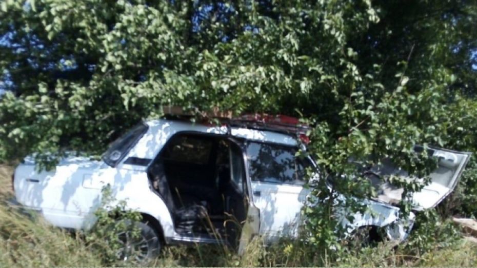 В Воронежской области «семерка» врезалась в дерево: пострадал 8-летний мальчик