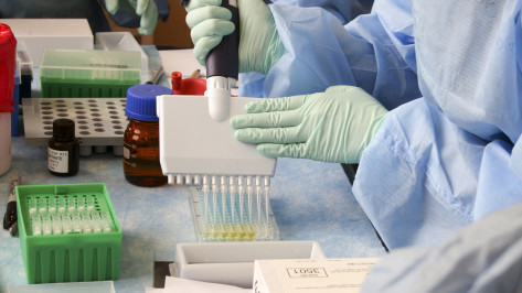 В Семилуках Воронежской области введен карантин по бешенству животных