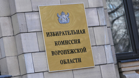 В Воронежской области на выборы в Госдуму выдвинулись 39 человек