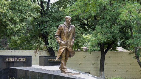 Жителей и гостей Воронежа пригласили на бесплатную экскурсию по центру города