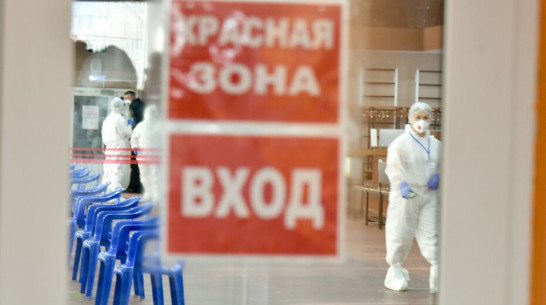 Коронавирус диагностировали у 521 жителя Воронежской области за сутки