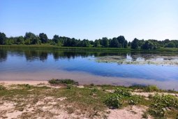 Подросток утонул во время отдыха с отцом на реке под Воронежем