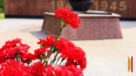 Воронежских школьников пригласили принять участие в патриотическом конкурсе