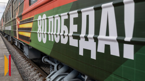 Поезд-музей Министерства обороны РФ посетили более 24,7 тыс воронежцев