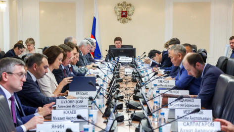 Воронежский сенатор Сергей Лукин – о внедрении цифрового рубля и развитии бюджетной сферы