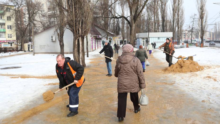Мэрия провела в Воронеже внеплановый субботник для устранения последствий ледяного дождя