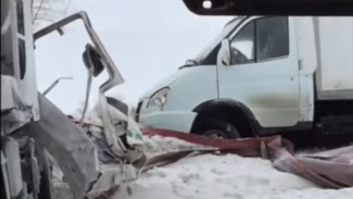 Последствия ДТП с 15 машинами под Воронежем попали на видео