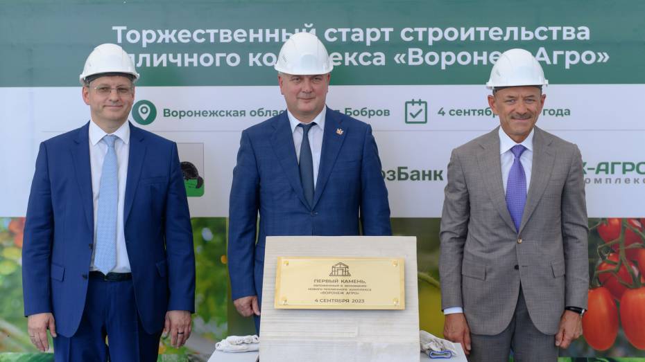 Воронежский губернатор: один из крупнейших тепличных комплексов в России появится в Бобровском районе