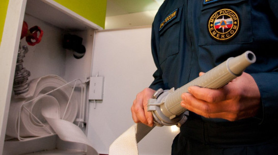 Воронежские спасатели оптимизируют надзорные подразделения вместо «боевых»