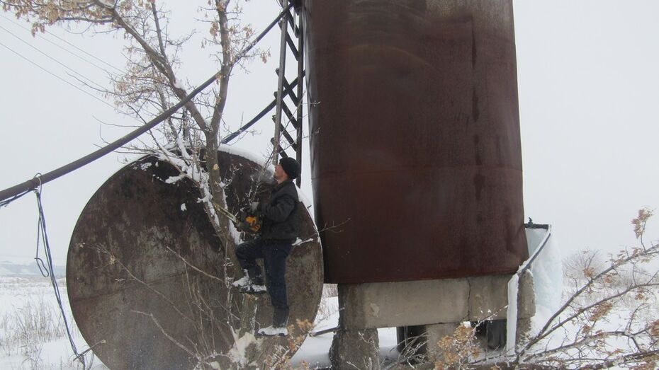 В центре нижнедевицкого села Першино активисты спилили 57 сухих деревьев