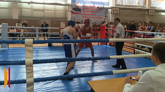 Богучарские боксеры завоевали 16 золотых медалей на открытых областных соревнованиях